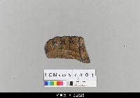 藏品(中國湖北皮影戲盔帽)的圖片